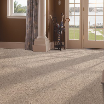 Carpet