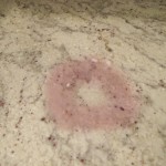 Stained Countertop Repair